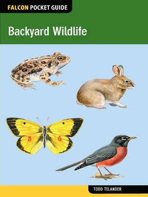 cover image of Backyard Wildlife